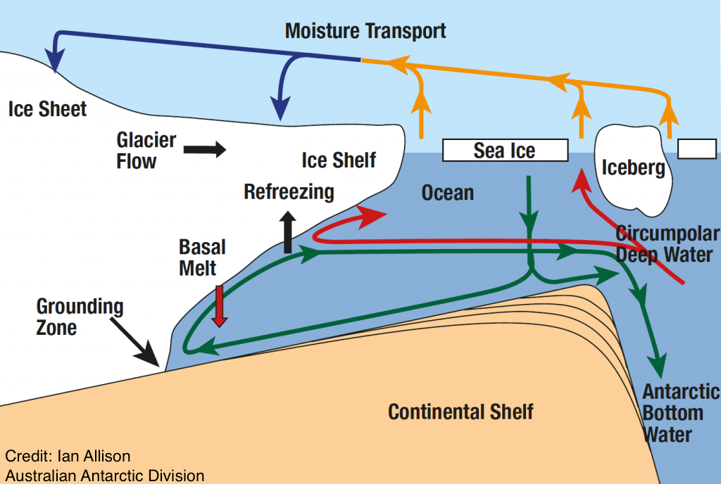 Schematic of the 2D circulation under an ice shelf